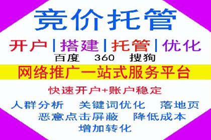 谷歌SEM案例研究：关键词优化策略解析